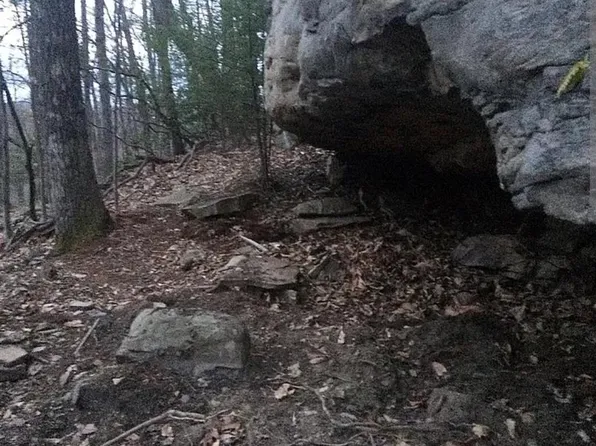 650 SW Eeneysburg Rdg, Wallback, WV 25285