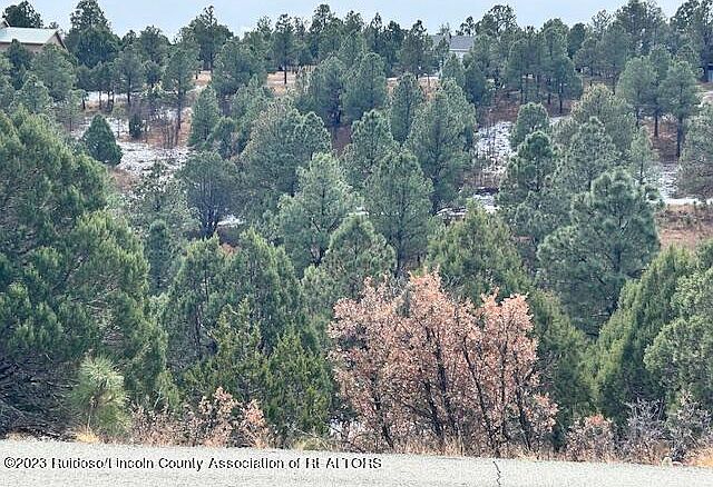 2nd image of LOT 19 Alto Mesa