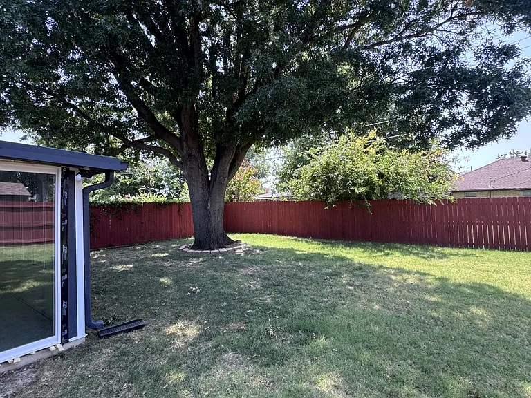 Backyard