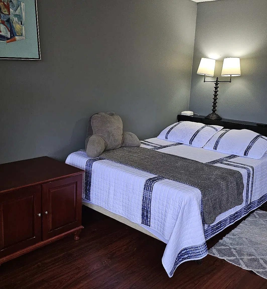 Studio, 386 sqft, $2,190 — Photo 3