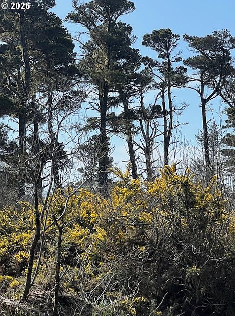 1st image of 0 18th St SW