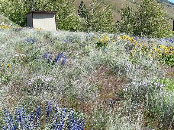 4th image of 10670 Old Naches Hwy