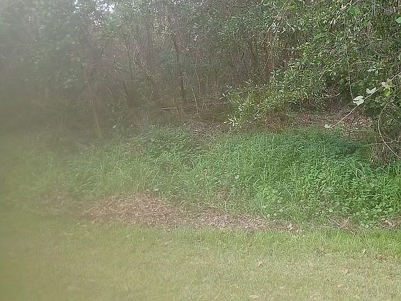 4th image of 178 Tara Ln