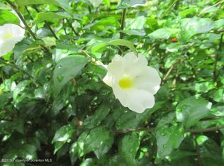 114 Oswald Ave, Scranton, PA 18505