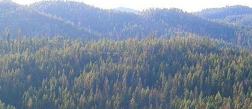 1st image of Nhn Highway 12 W