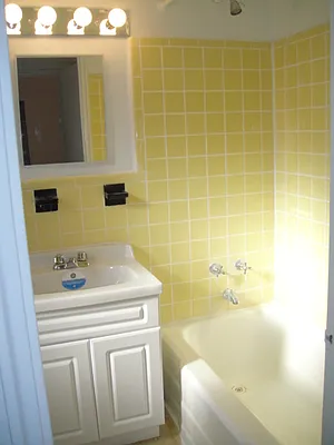 Rented by Hatuka Properties | media 19
