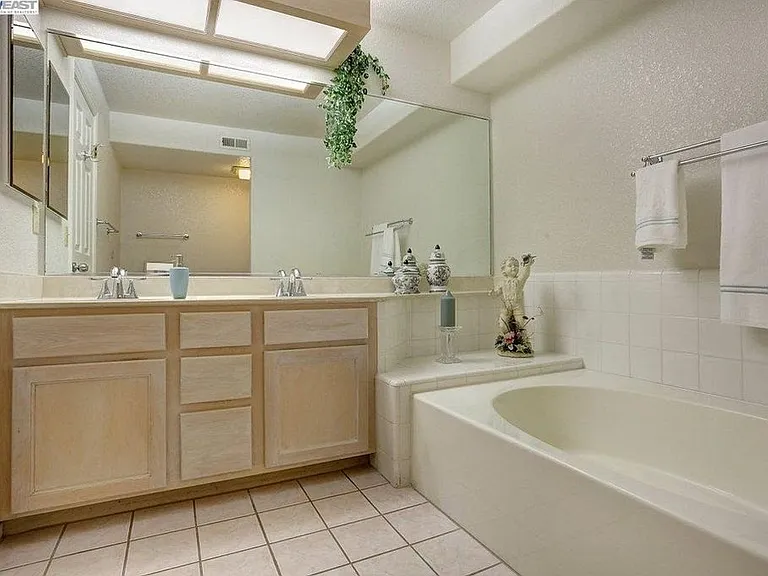 Master Bathroom pic 1
