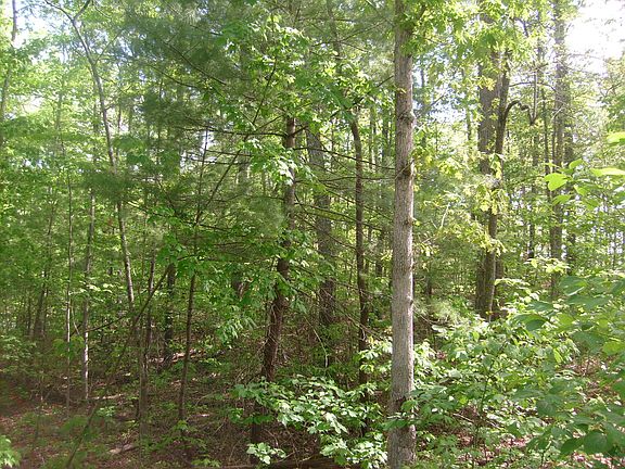 5th image of 149 Overlook Cv Lot 55