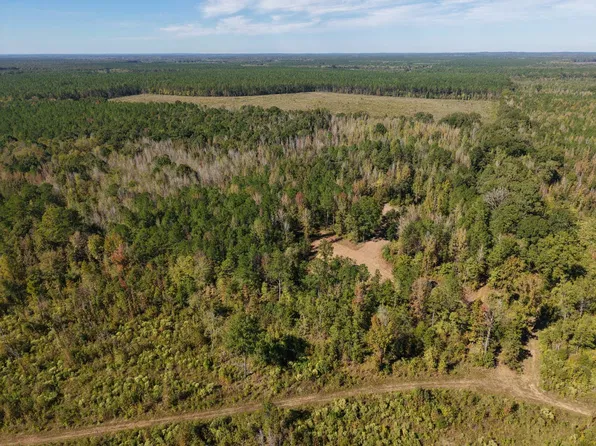 0 County Road 14, Catherine, AL 36728