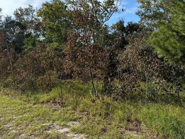 0 Sylvia Ave, Spring Hill, FL 34606