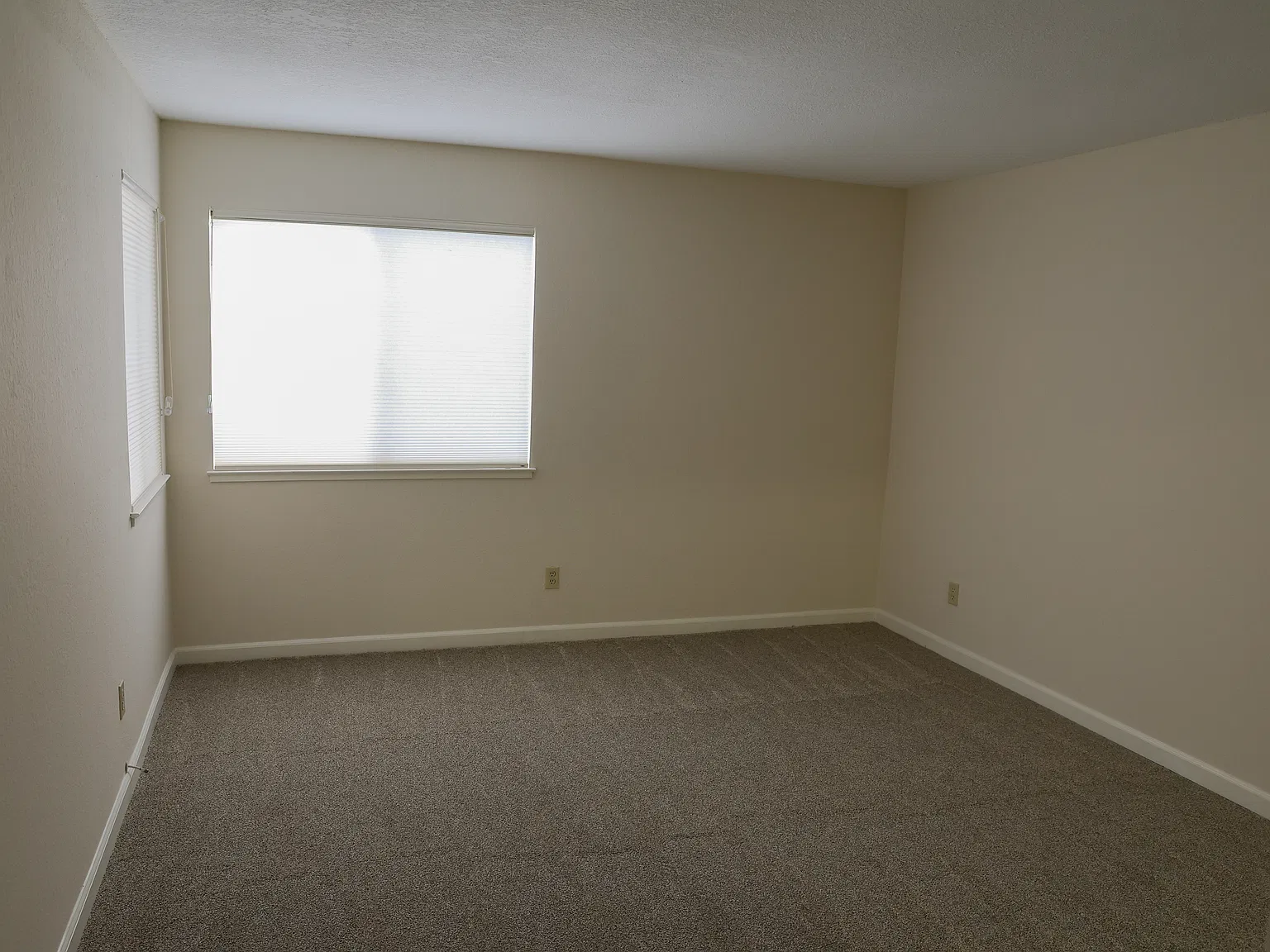1 bed, 780 sqft, $2,900 — Photo 4