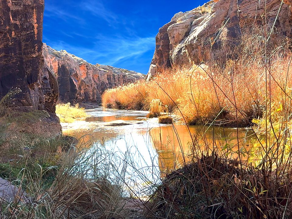 1st image of 000 Bell Cow aka Rock Art Ranch Road #11