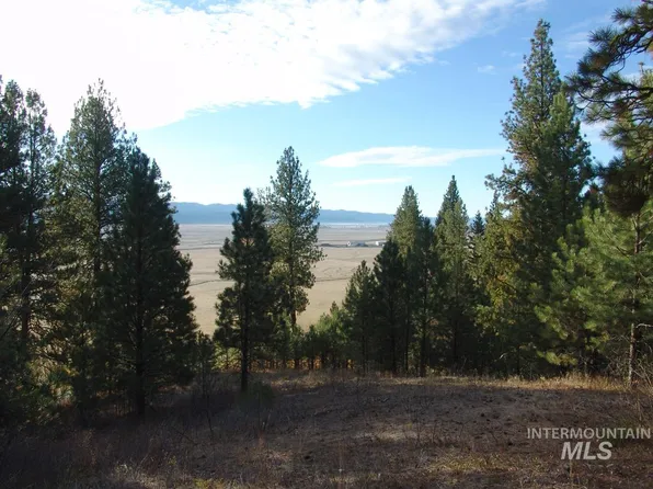 10 Rehn Loop, Cascade, ID 83611