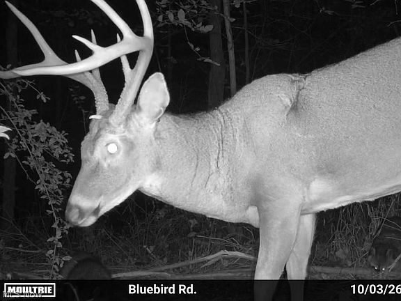 3rd image of 7145 Bluebird Rd NW