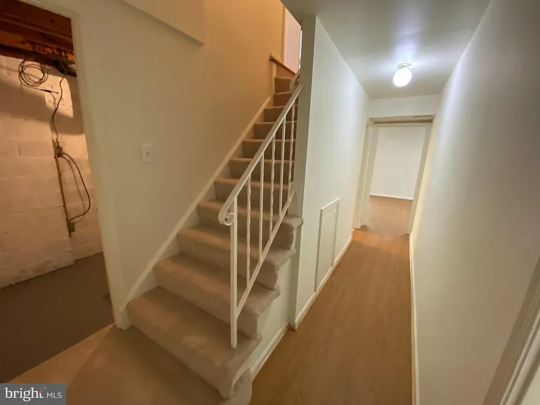 6802 Dina Leigh Ct — Photo 39