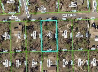 12032 Mirage Ave, Weeki Wachee, FL 34614