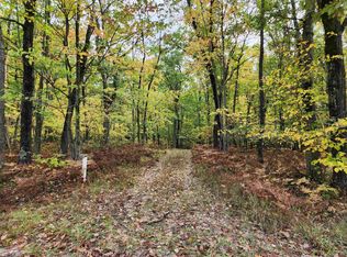 56 Mockingbird Cir, Farwell, MI 48622