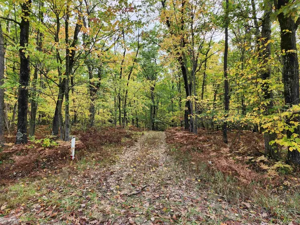 56 Mockingbird Cir, Farwell, MI 48622