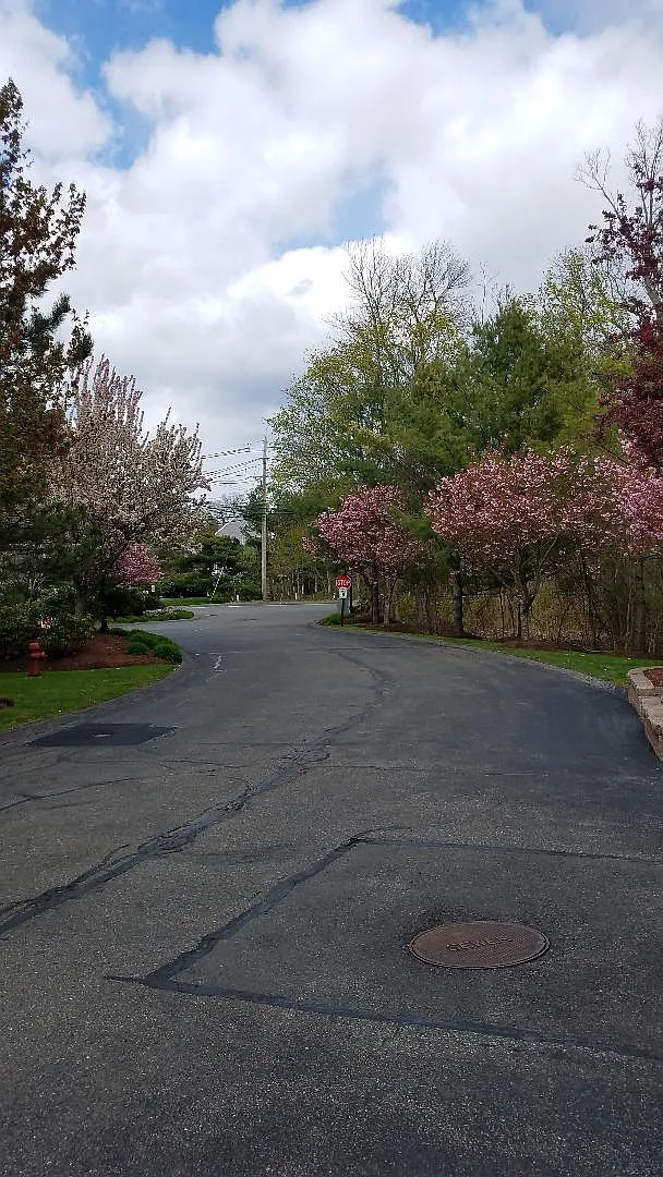 2 bed, 1200 sqft, $3,200 — Photo 4