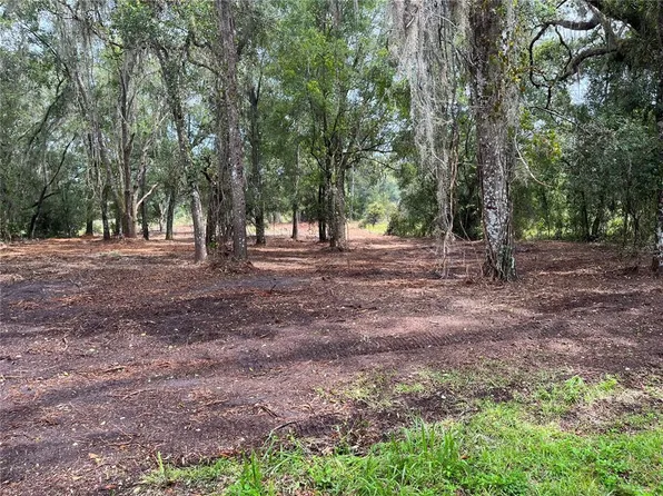 Octavia Ln Lot 20, Webster, FL 33597
