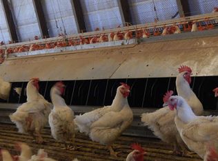 135 Braddock Rd, Decatur, MS 39327