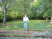 3rd image of 5228 Old Nashville Hwy