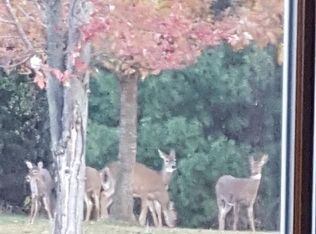 2320 S Fletcher Rd, Chelsea, MI 48118