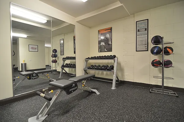 Rented by Bold New York | media 12