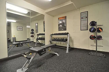 Rented by Bold New York