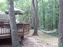 Relaxed living with hammock and trees