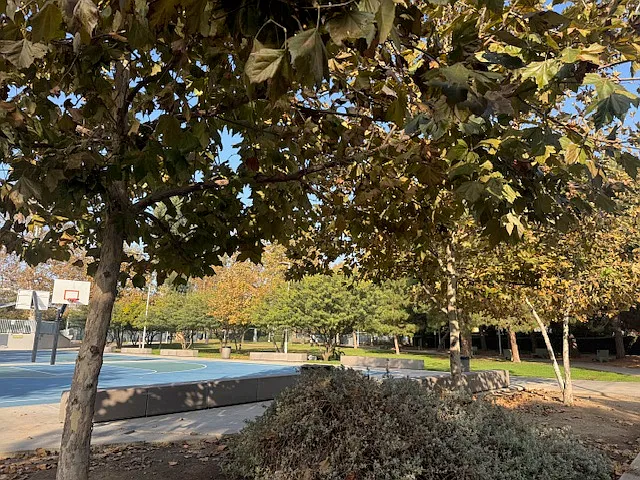Palmer park and sports courts across the street