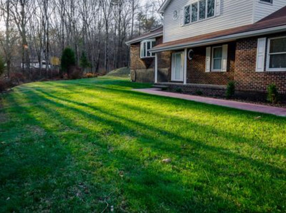 Front view from lawn