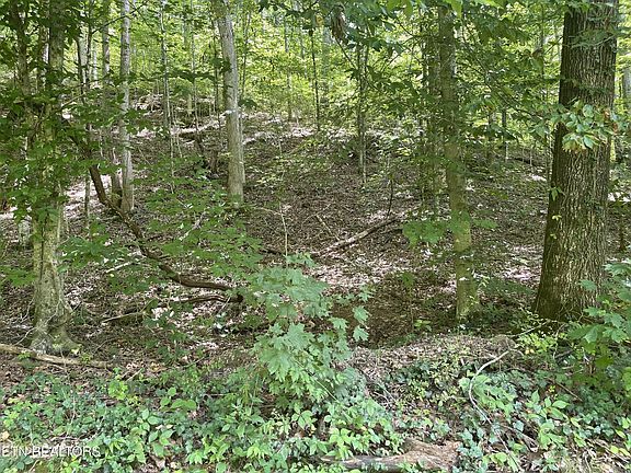 4th image of 6030 Cherokee Indian Cir Lot 303