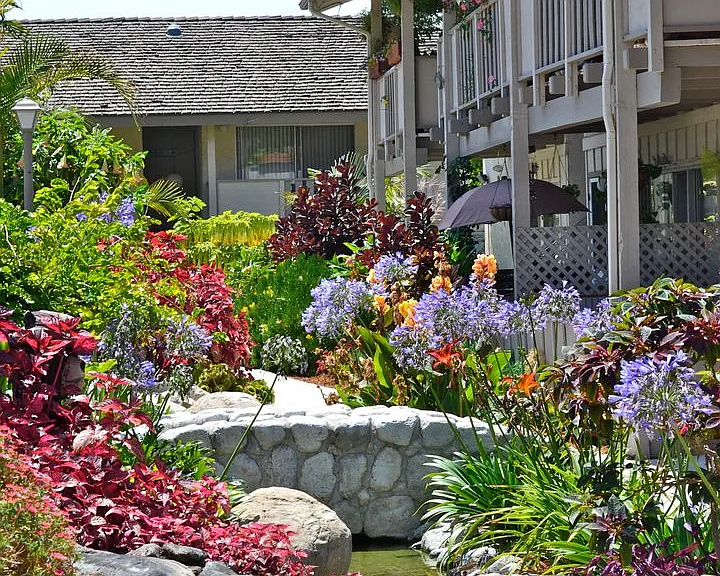 Beach Creek Resort Apartments — Photo 8