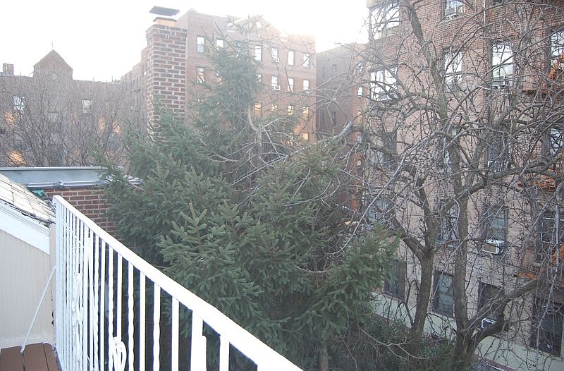 1st image of 4150 47th St #2