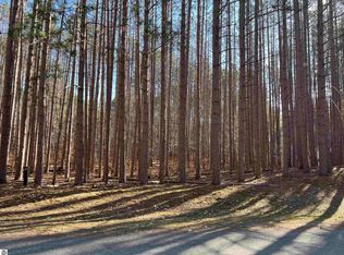 Vl 68 Tanne Valden Strasse, Bellaire, MI 49615