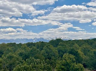6101 County Road 1 Road, Montrose, CO 81403
