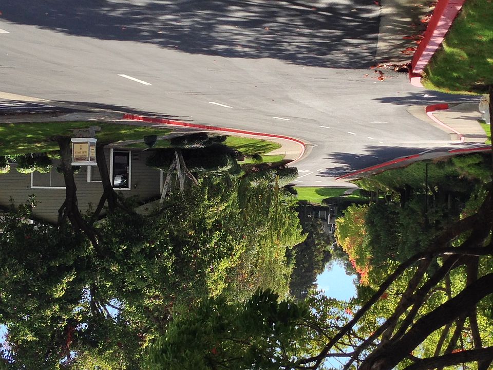 1st image of 505 Canyon Oaks Dr APT G