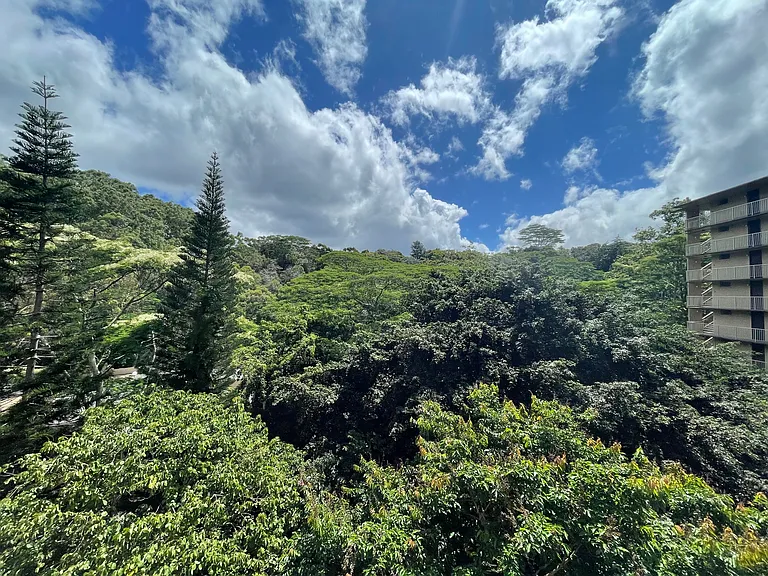 95-269 Waikalani Dr #C906 — Photo 11