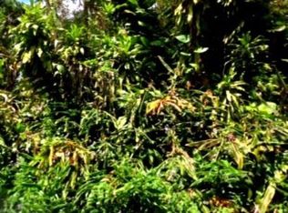Pakalana Rd LOT 405, Pahoa, HI 96778