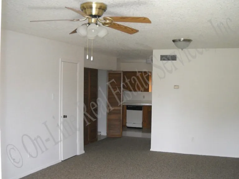 1202 Spring Loop #C — Photo 5