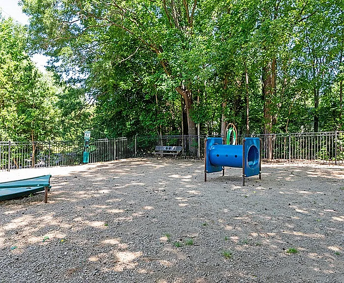 DSC_5042