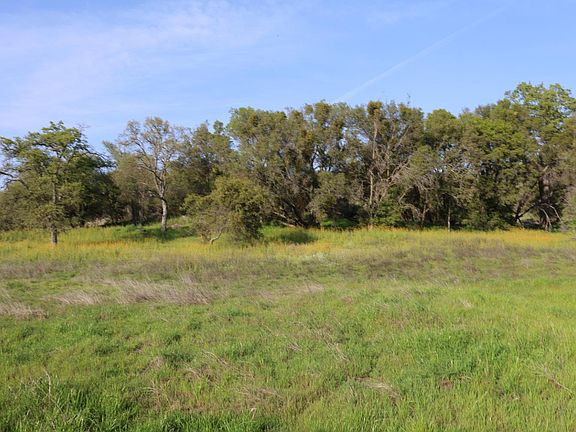 3rd image of 10 Douglas Rd S