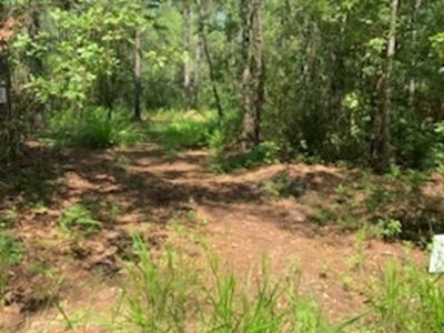 0 SW Hike Lake Rd, Madison, FL, 32340