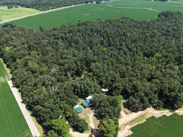 0 Conner Rd, Grand Ridge, FL 32442