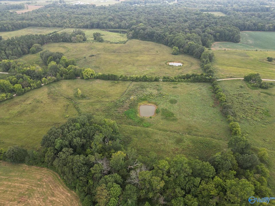 2nd image of County Road 157
