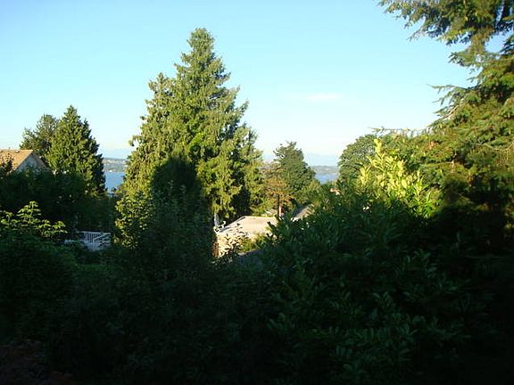 View facing East to the Cascades