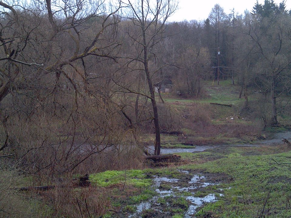 View from Beaver Creek Rd
