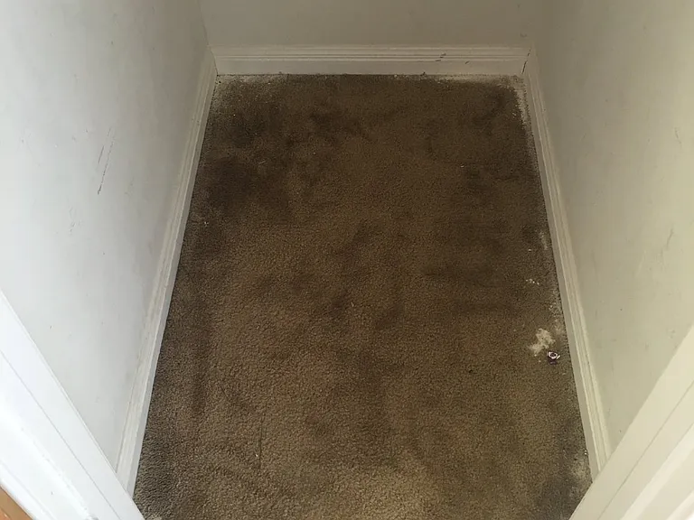 130 Marvin Cv #130 — Photo 5