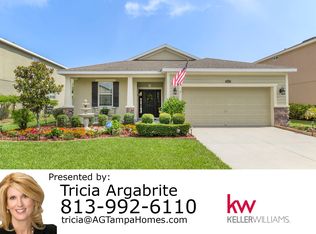 11632 Balintore Dr, Riverview, FL 33579